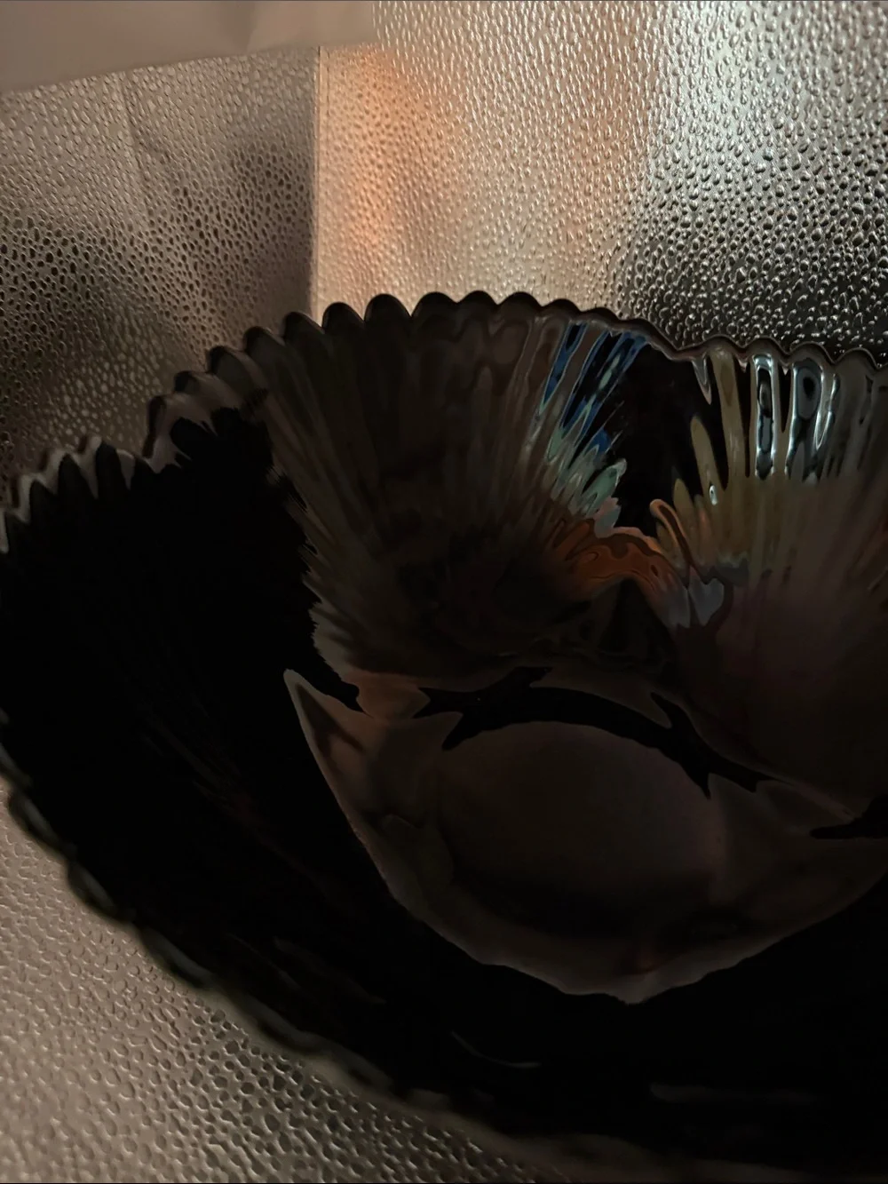 Vintage Arcorcoc Black Glass Seashell Serving Dish Made in France